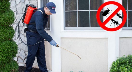 Keşan Akrep İlaçlama böcek ilaçlama ve haşere kontrolü — ilaclama-tr.com